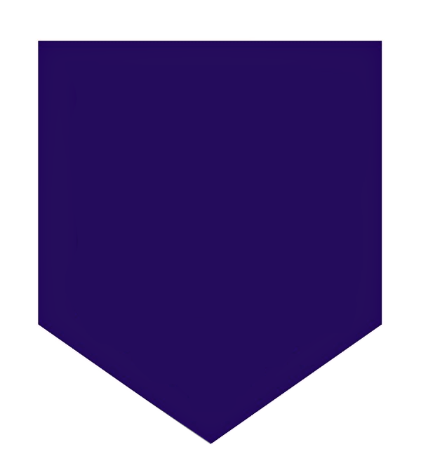 Shield Icon
